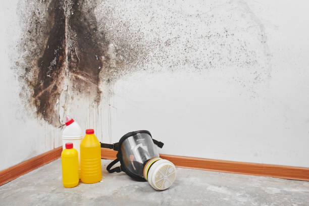 Best Crawl Space Mold Removal  in Covington, VA