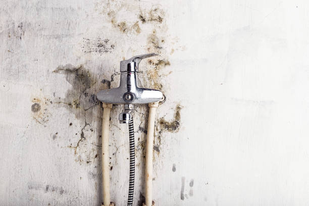 Best Water Damage Restoration  in Covington, VA