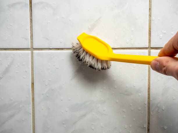  Covington, VA Mold Removal Pros