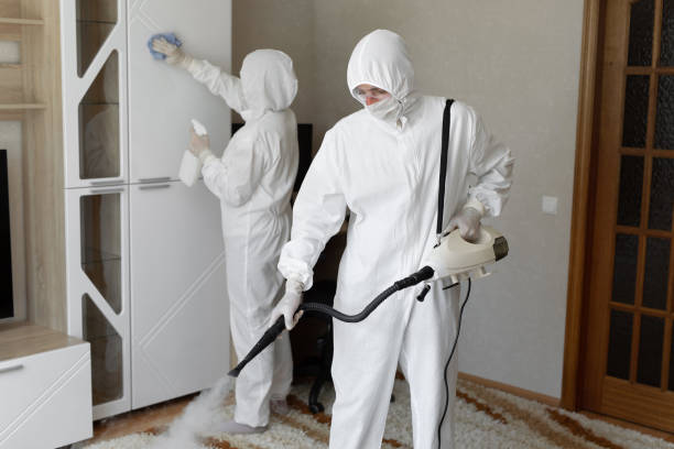 Home Mold Removal in Covington, VA