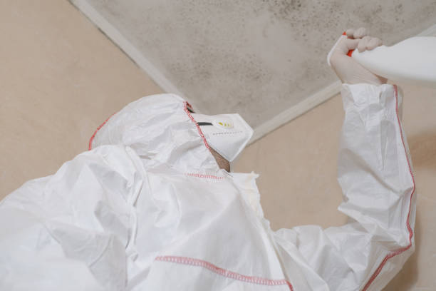 Water Damage Restoration in Covington, VA